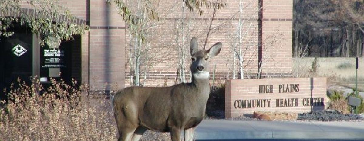 High Plains Community Health Center